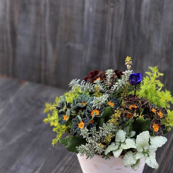 池袋コミュニティ カレッジ オンライン録画配信講座 花をつくる人 3 31まで視聴可能