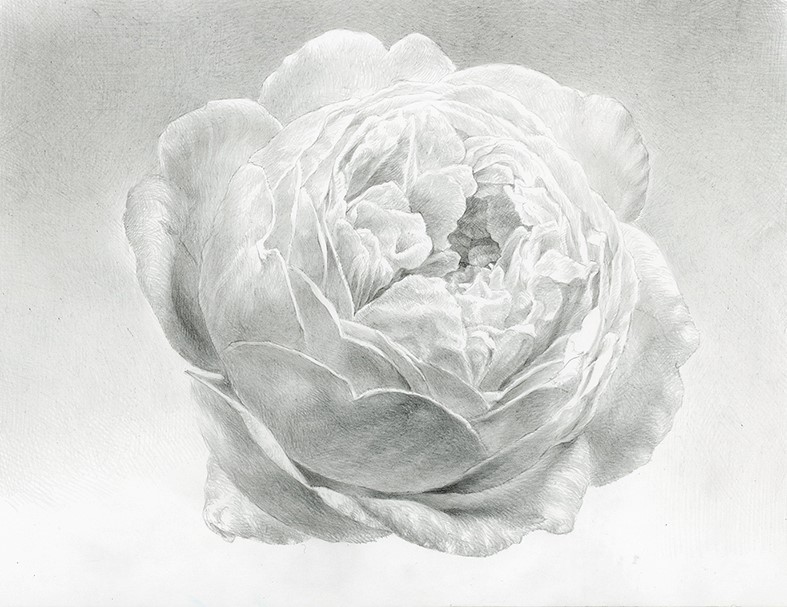 鉛筆画】鉛筆空間 (建石クラス) | 池袋コミュニティ・カレッジ