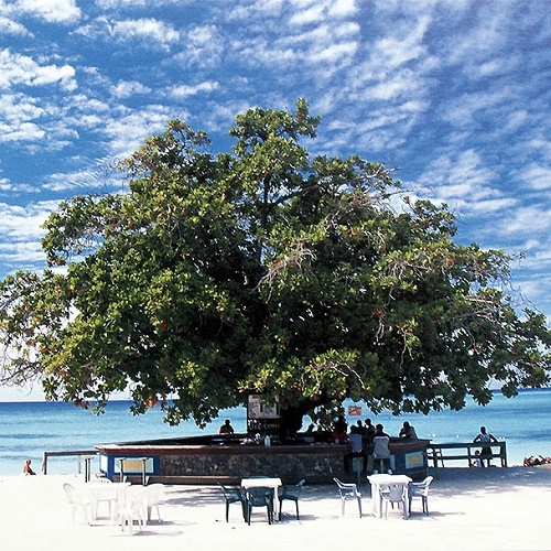 ʐ^ƂƂ΂łÂA̕utHgGbZC̎ԁv