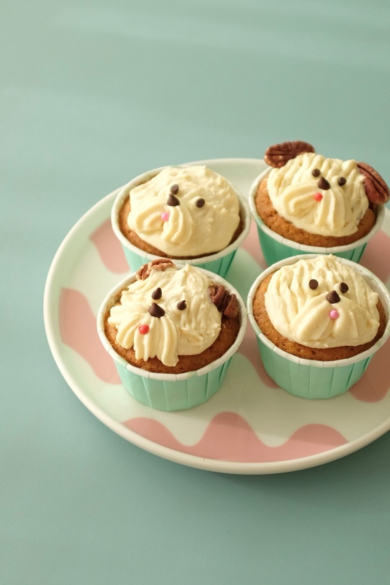 Maison terrier�̂��َq6/13