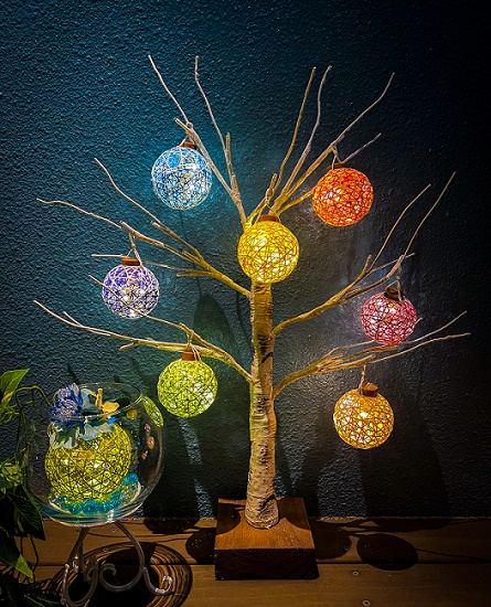 �a�R�ō�铔��̎��@2/11(��)