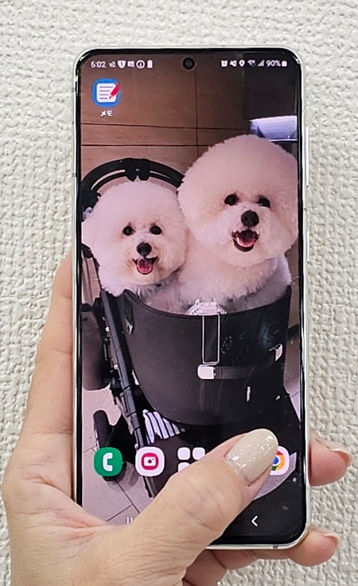 �y2/6�z�X�}�z�v���C�x�[�g���b�X���i60���j