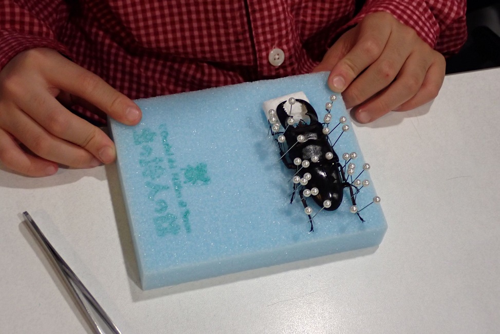 �����W�{�쐬�����y���@�z