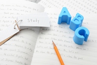 �E�B���r�[�}���c�[�}���p��b�@3/29(��)�̌���