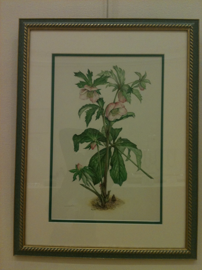 セブンカルチャークラブ亀有 セブンカルチャーネットワーク