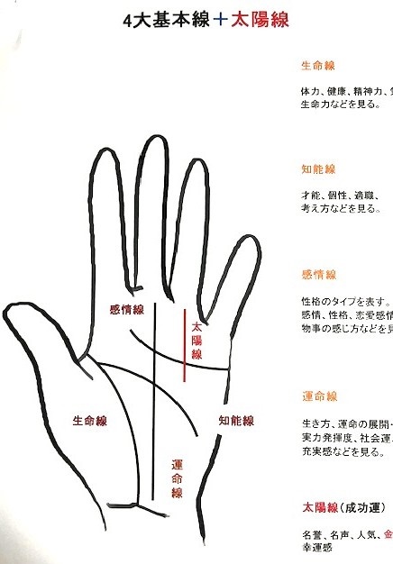 葊