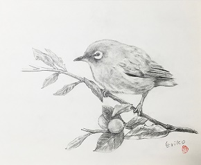 セブンカルチャークラブ蘇我 美術 書道