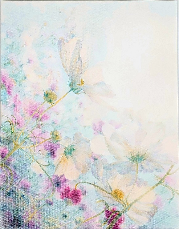 �F���M��@2/27(��)�@�̌���