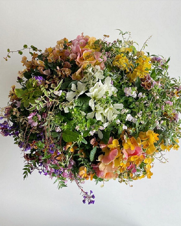 �v�����c�M���U�����O�i3��R�[�X�j