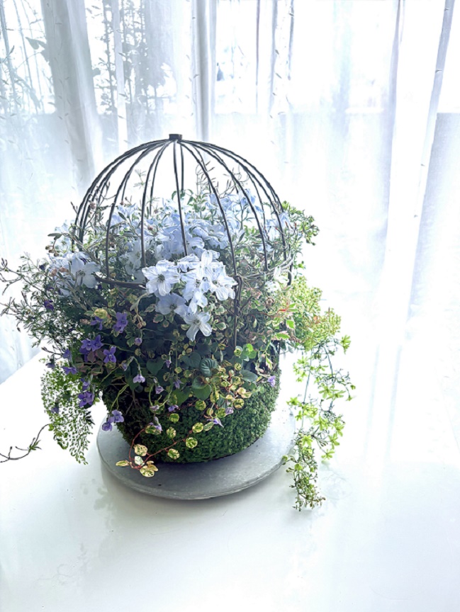 �v�����c�M���U�����O�i3��R�[�X�j