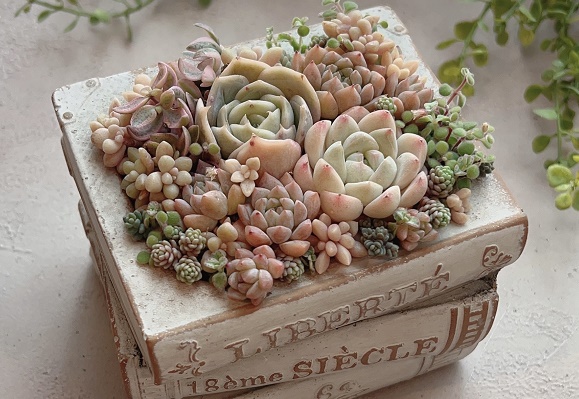 �����A���̊񂹐A��(�S1��)