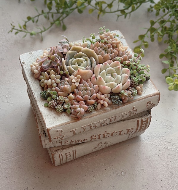 �����A���̊񂹐A��(�S1��)