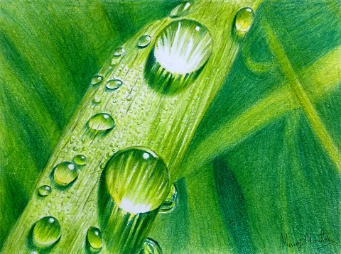 ���A���F���M��@4/20(��)�@�̌���