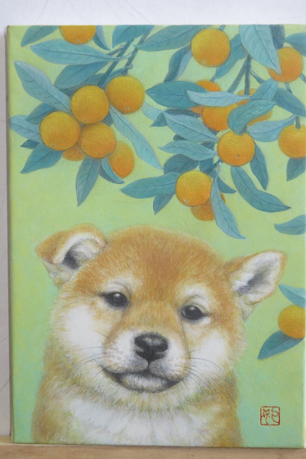 �f�b�T���Ɛ��ʁE�F���M