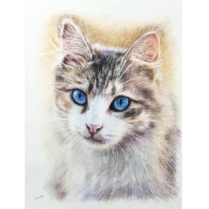 �F���M�ŕ`�� �₳�������A����2/2(��)�̌���