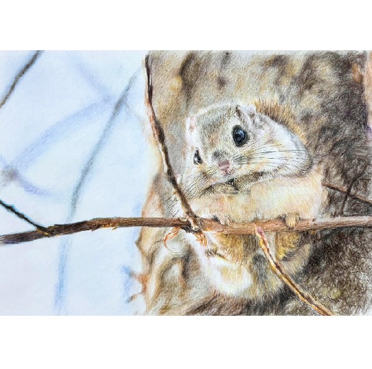 �F���M�ŕ`�� �₳�������A����