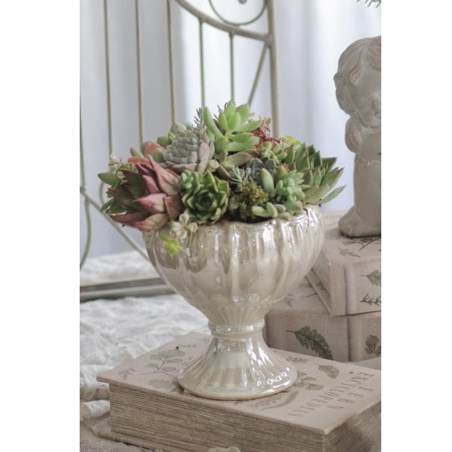 �����A���ŉ����񂹐A�����i�S1��j