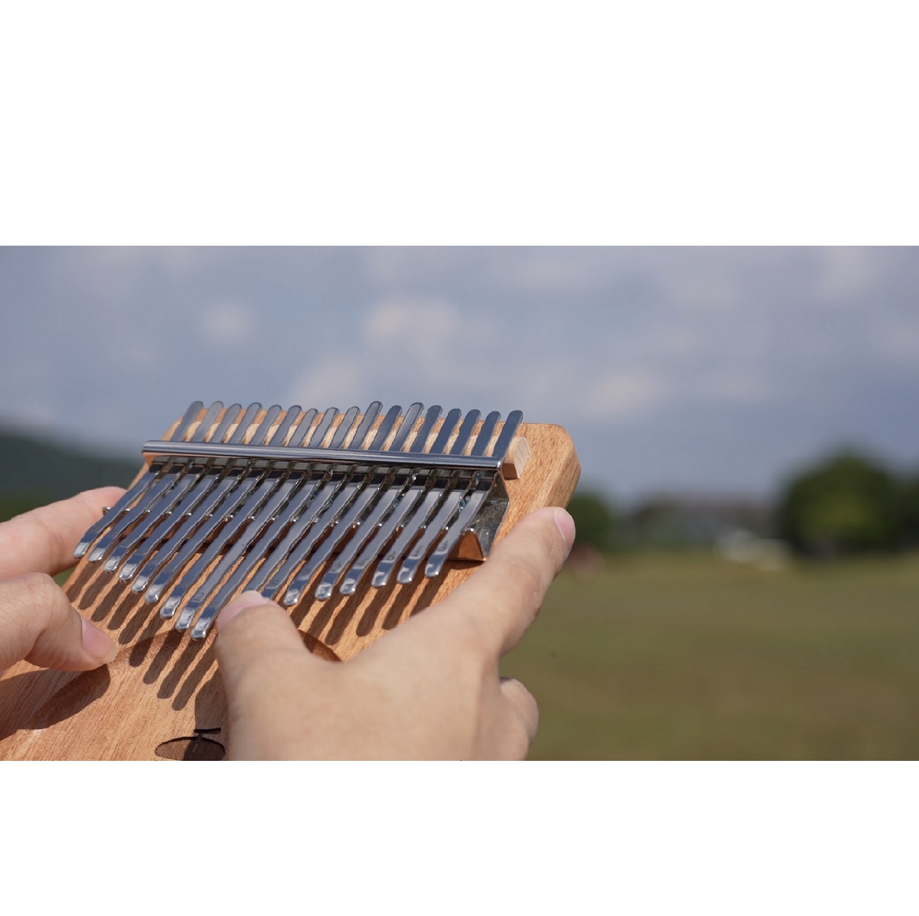 �J�����o����i�S8��j4/17(��)�̌���