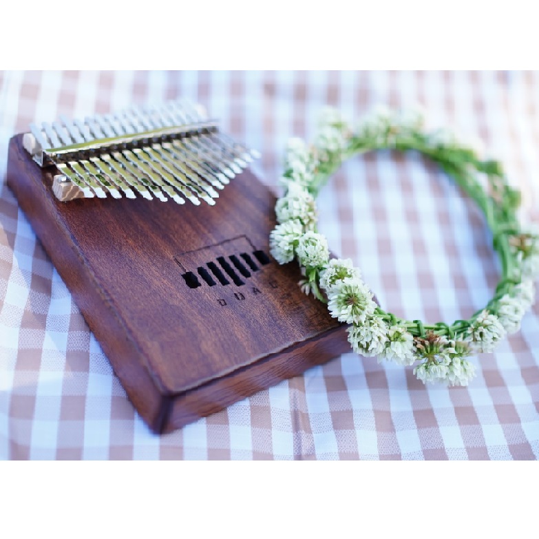 �J�����o����i�S8��j4/17(��)�̌���