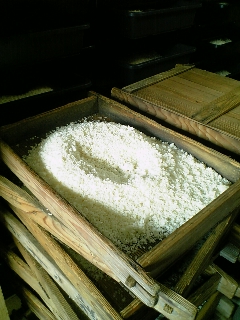 セブンカルチャークラブ鳳 セブンカルチャーネットワーク