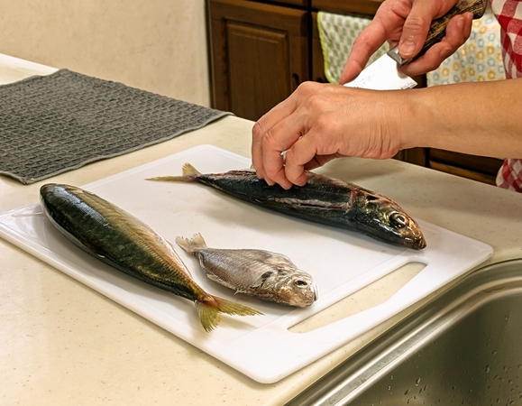 ���̂��΂����u���`����`�@2/21(�y)