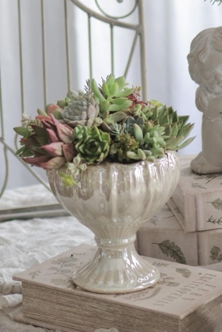 �����A���ŉ����񂹐A�����3/4(��)