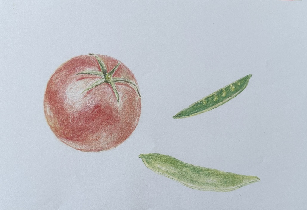 �₳�����F���M��