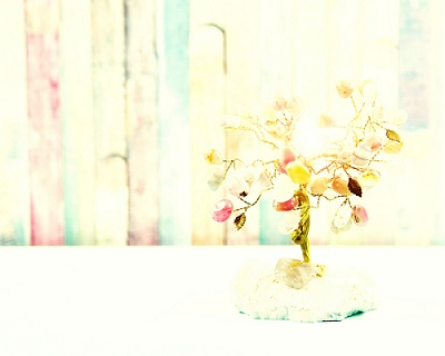 �����Еt���u��2/11