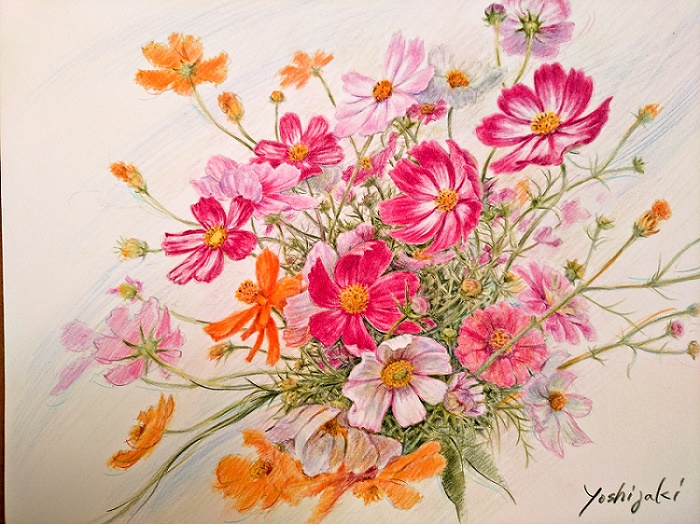 �F���M�拳��