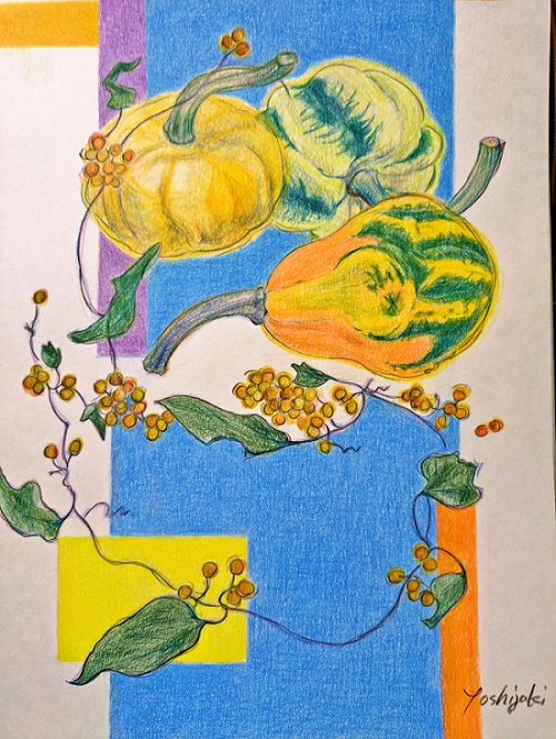 �F���M�拳��