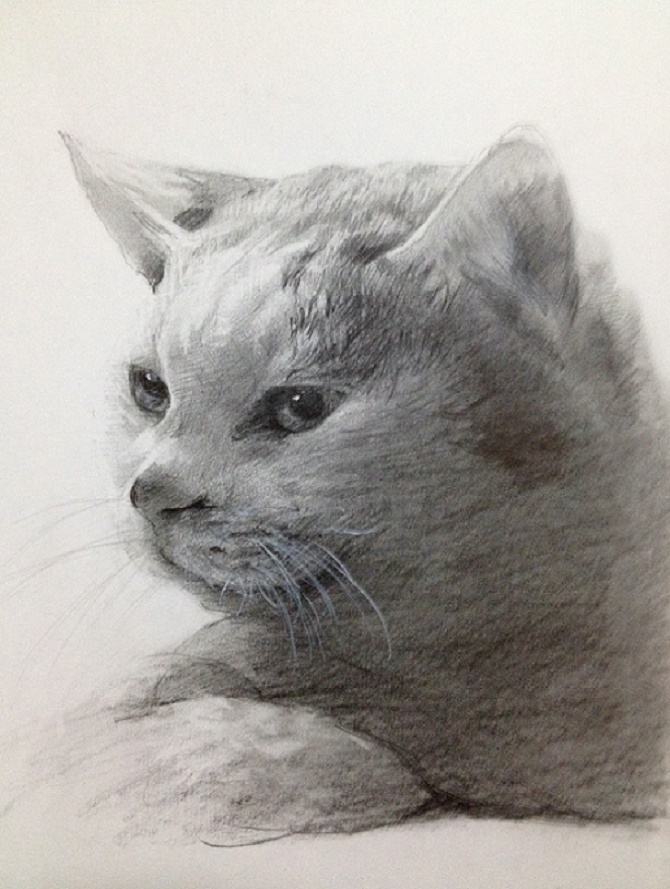 基礎から学ぶデッサン&絵画