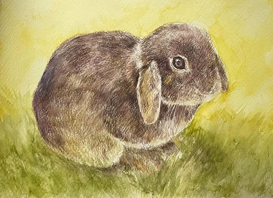 ���ʉ�̊�b�̊�b