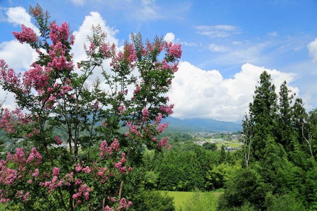 ჌tu