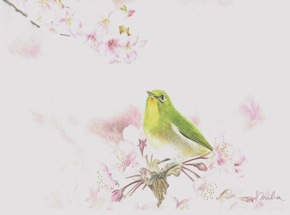 �F���M��1/28�i���j�̌���