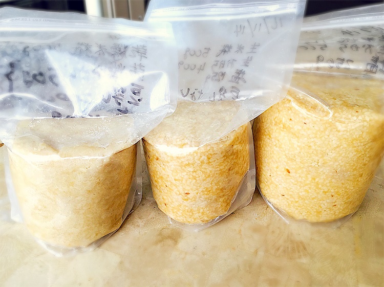 �����疡�X�d����2/15�i���j