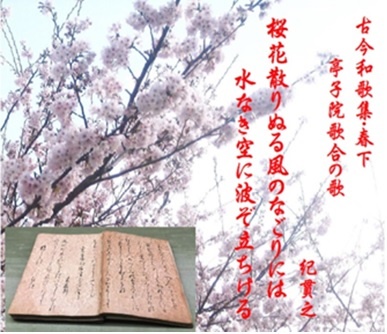 �w�Í��a�̏W�x�̐��E4/2�i�؁j�̌���