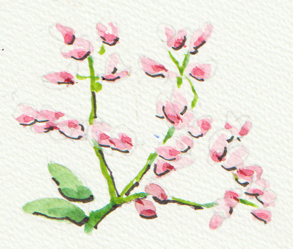 ��M��(�����҂�)����