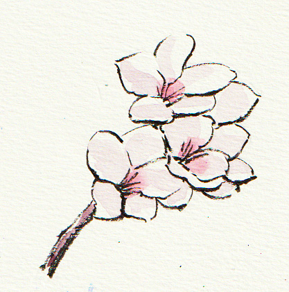 ��M��(�����҂�)����