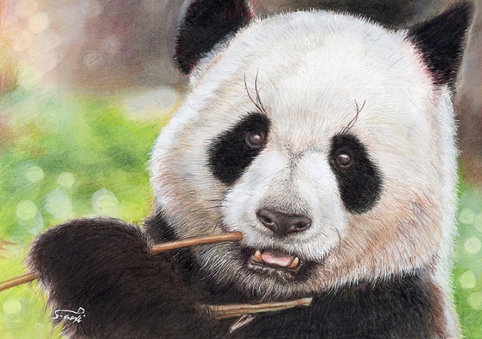 ���A���F���M��