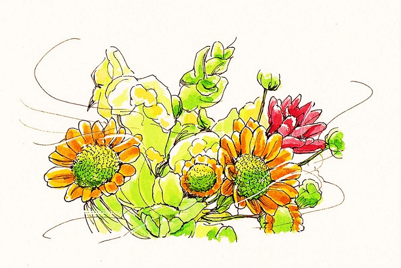 �M�y���ŕ`�����拳��