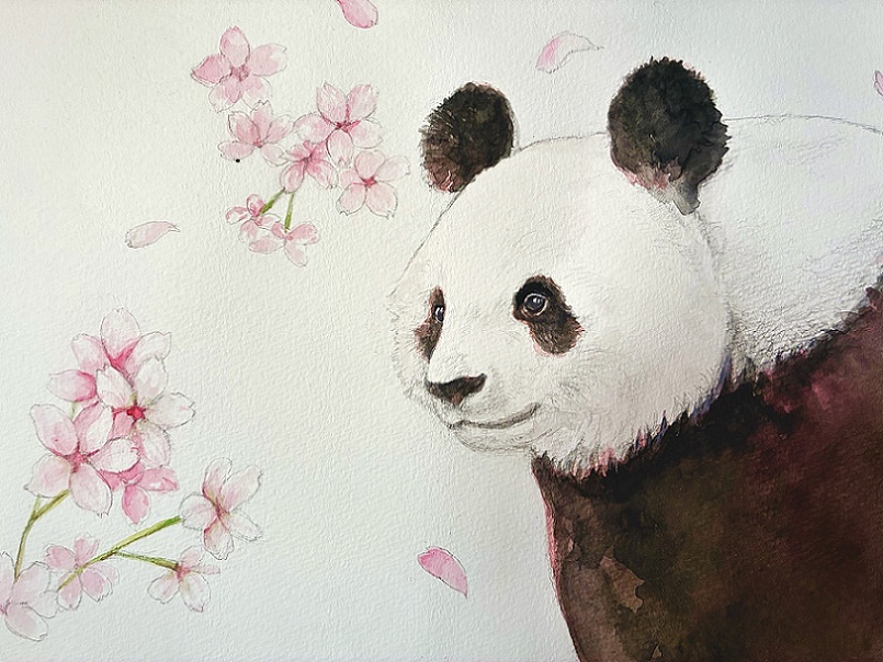 ���ǂ��f�b�T���E���ʉ�@4/1(��)�̌���